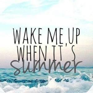 Meet your Posher, Laurie